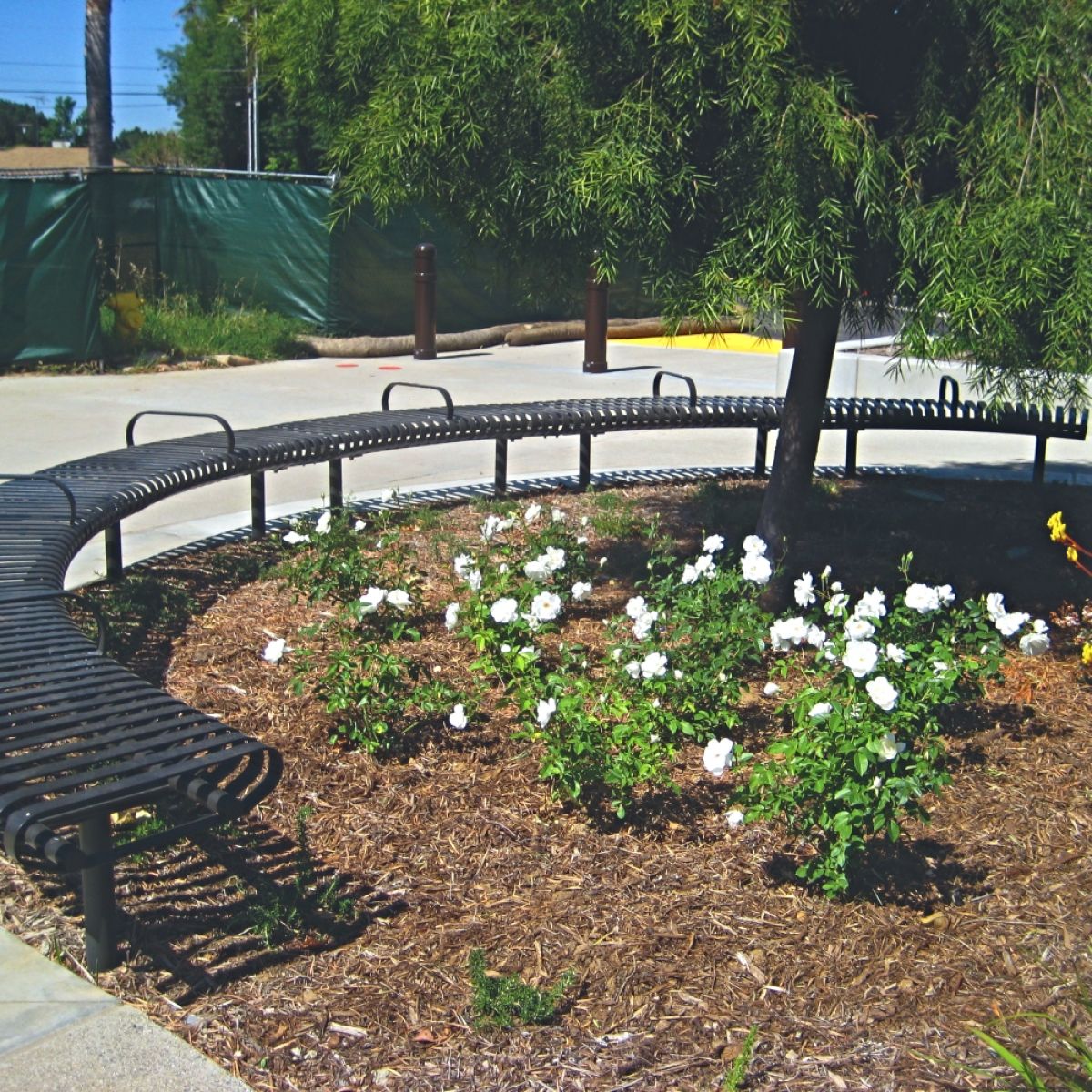 CRFC - Carnival Curved Bench - CUSTOM RADIUS