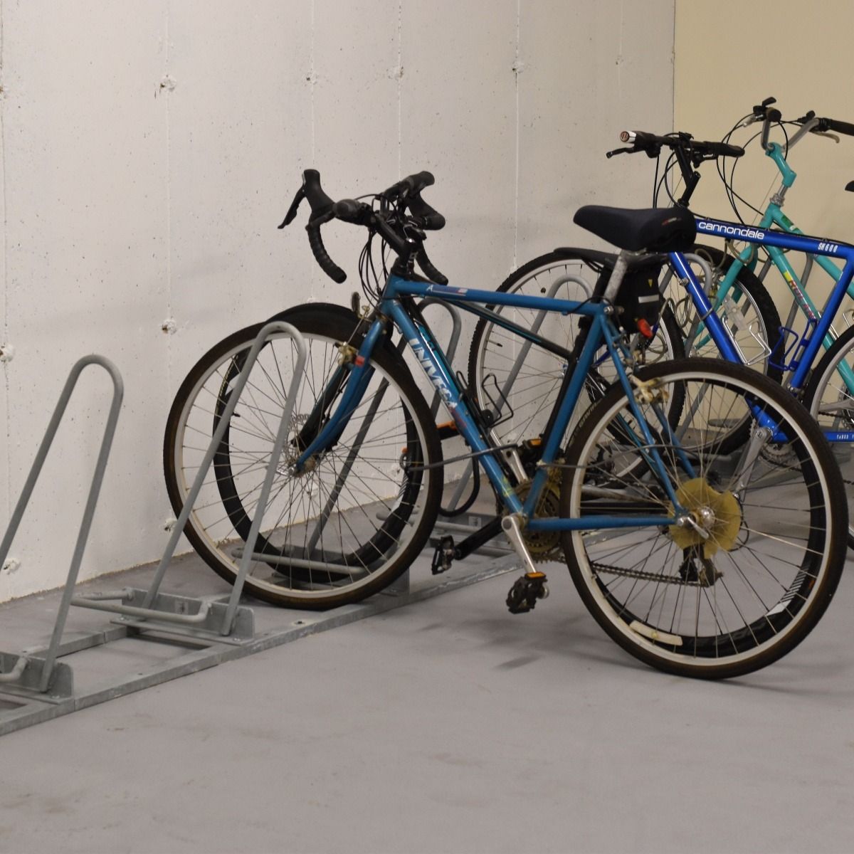 Shark™ Bike Rack