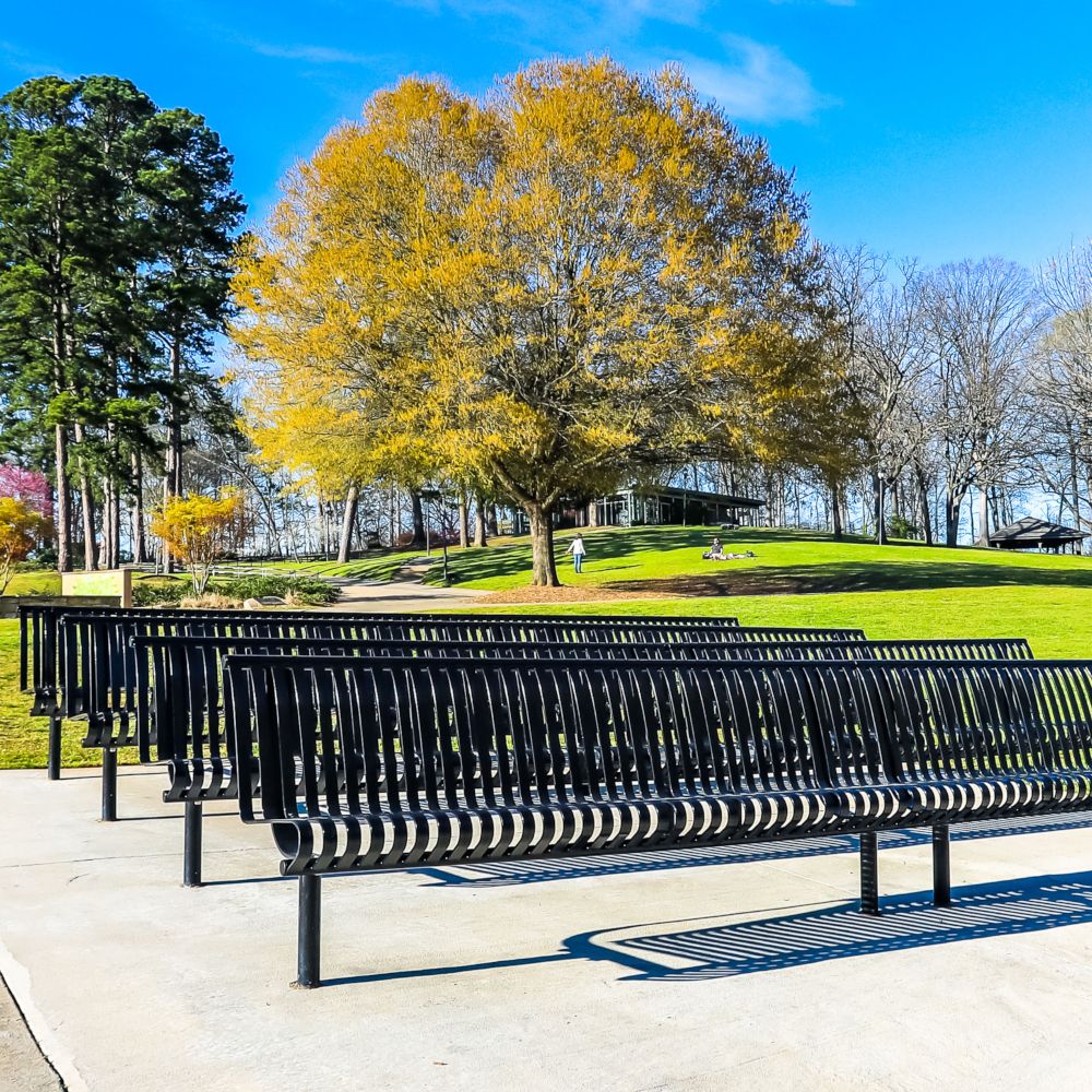 Carnival II Bench