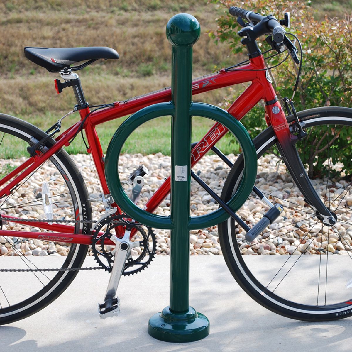Post and Ring w/ Ball Cap - PARBC-2-SF-P