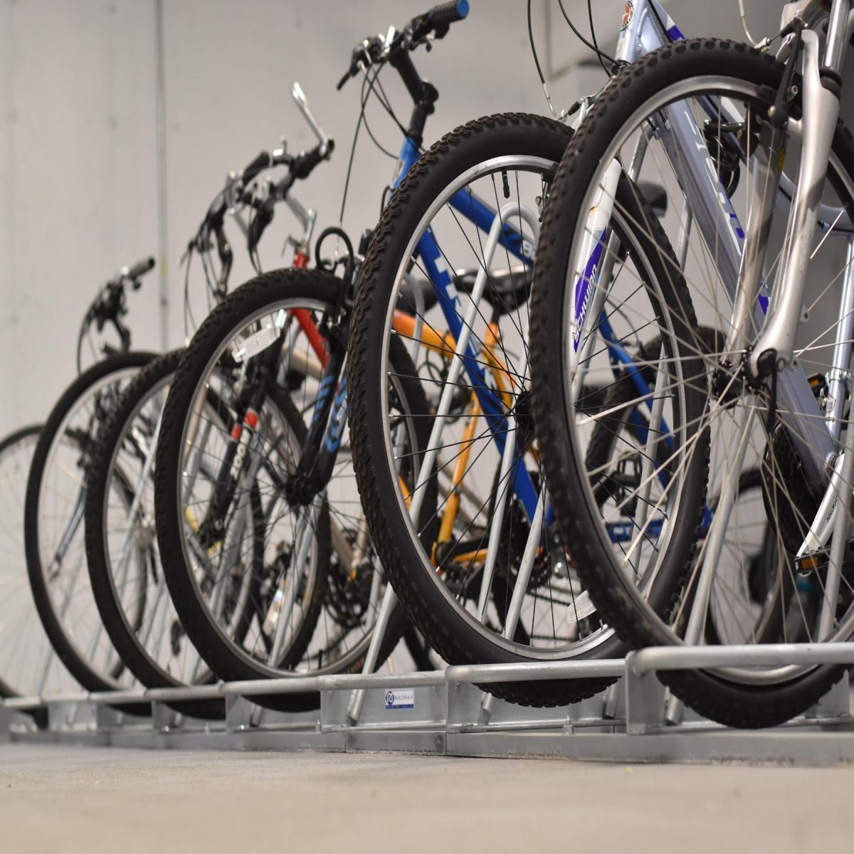 Shark™ Bike Rack
